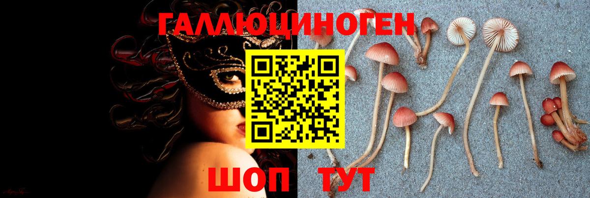 купить закладку  Вход с VPN  Киселёвск  Галлюциногенные грибы прущие грибы 